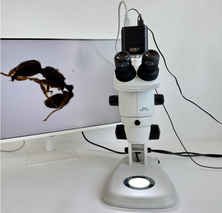 二手NIKON尼康 SMZ745T体式显微镜带一年质保成色新