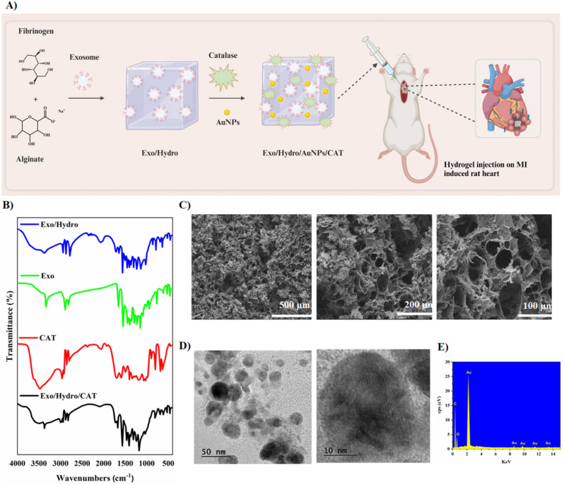 外泌体技术服务 外泌体技术服务