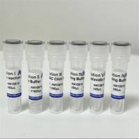 全蛋白异戊烯免疫印迹检测试剂盒