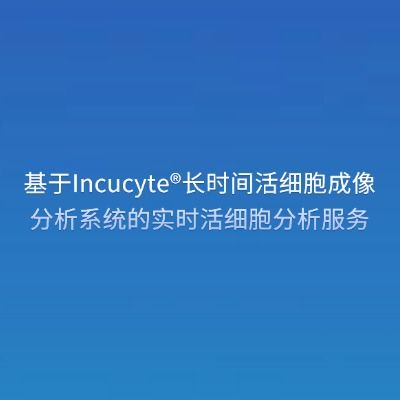 基于Incucyte®长时间活细胞成像分析系统的实时活细胞分析服务