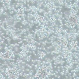 人成淋巴细胞TK6