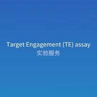 Target Engagement (TE) assay实验服务