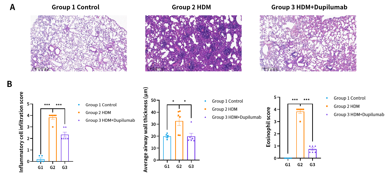 世界哮喘日 | 南模生物哮喘模型，助力探究哮喘新疗法