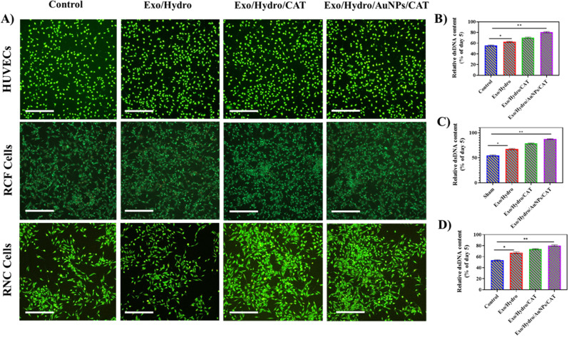 外泌体技术服务 外泌体技术服务