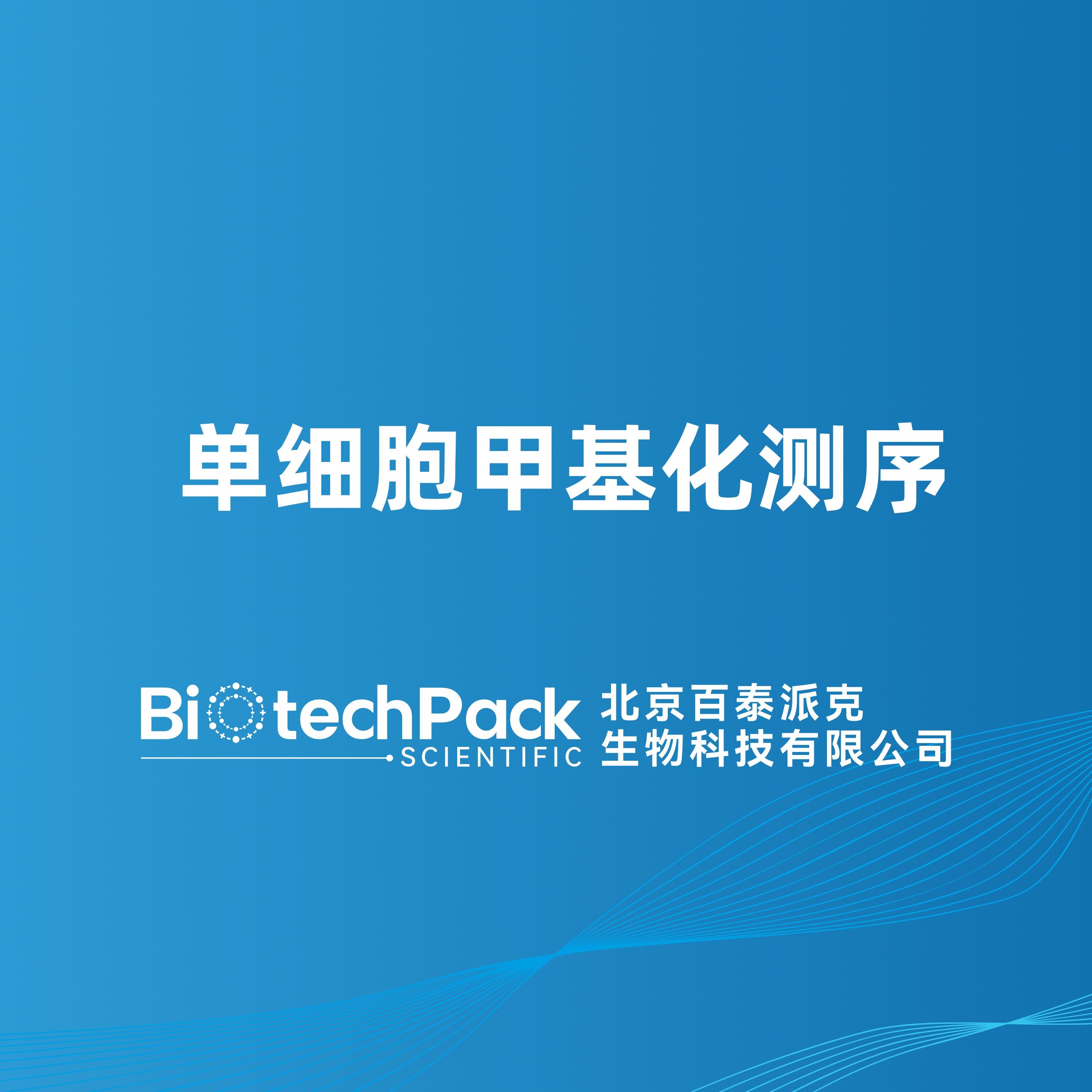 单细胞甲基化测序-百泰派克生物科技