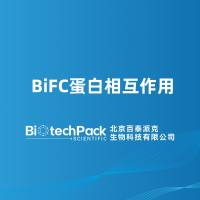 BiFC 蛋白相互作用