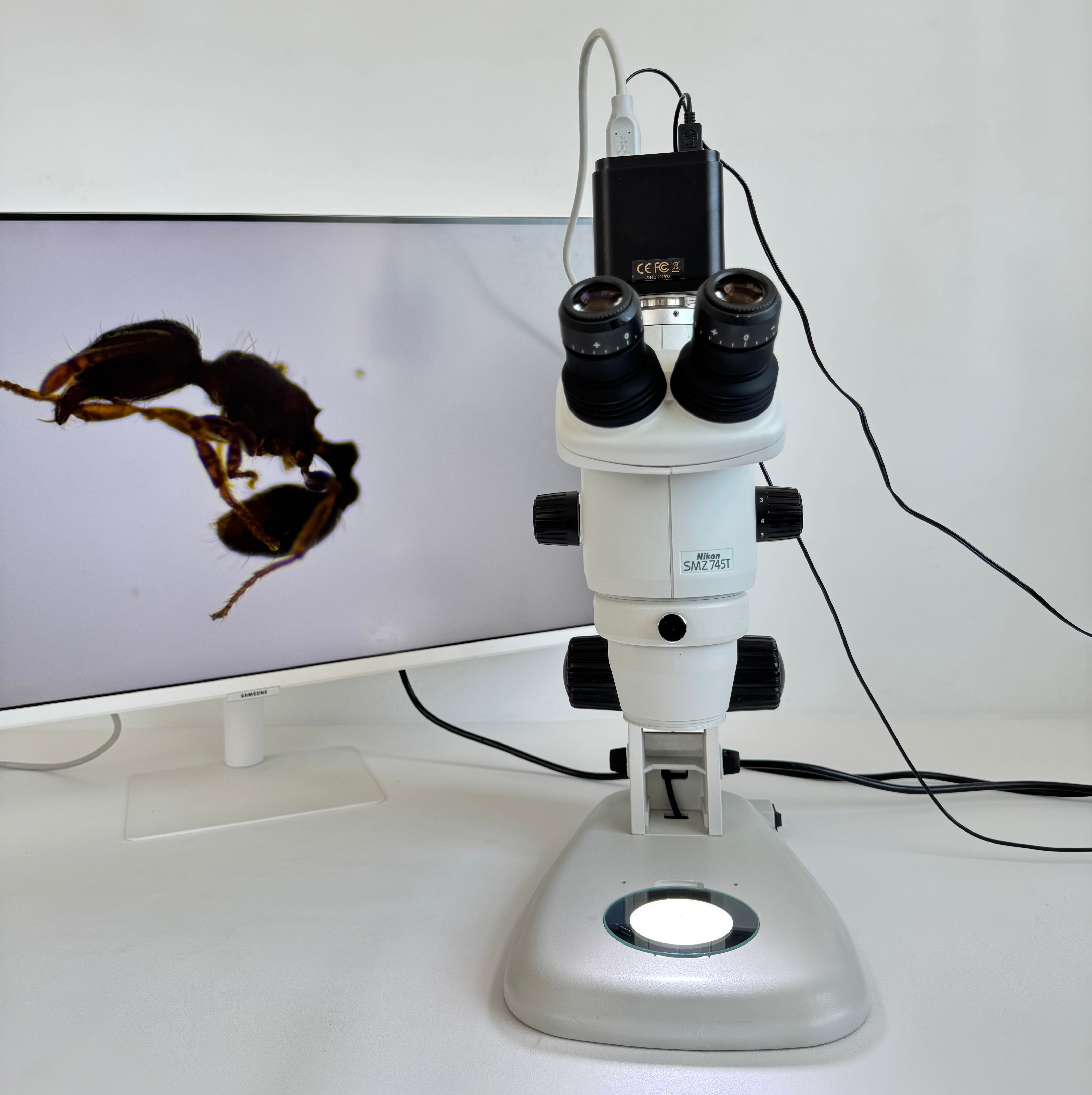 二手NIKON尼康 SMZ745T体式显微镜带一年质保成色新