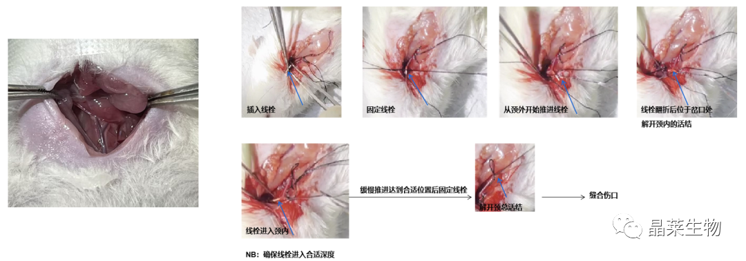 640_wx_fmt=png&from=appmsg (1).png