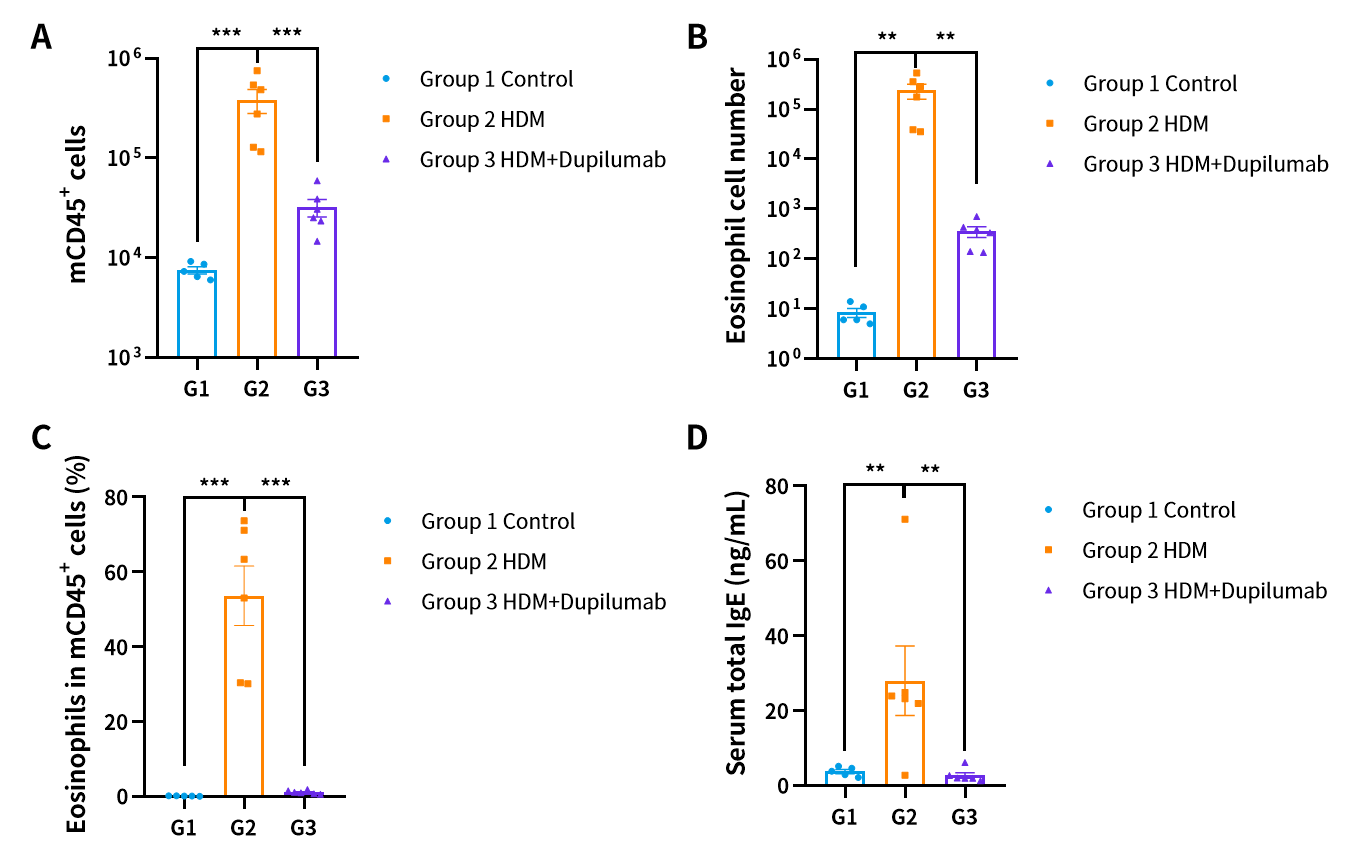 世界哮喘日 | 南模生物哮喘模型，助力探究哮喘新疗法