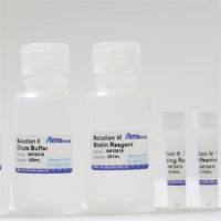 AM10419--全蛋白棕榈酰质谱检测试剂盒