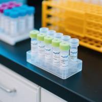 苯唑西林BSA(OVA）偶联抗原；苯唑西林偶联抗原；苯唑西林抗原；Oxacillin Benzoxacillin BSA (OVA)