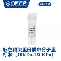 彩色预染蛋白质中分子量标准（10KDa-180KDa）