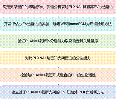 圖片1
