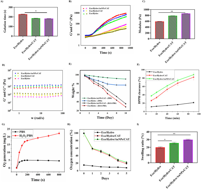 外泌体技术服务 外泌体技术服务