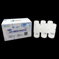 细胞核分离试剂盒-柱提法