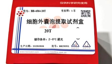 细胞培养上清中囊泡的提取