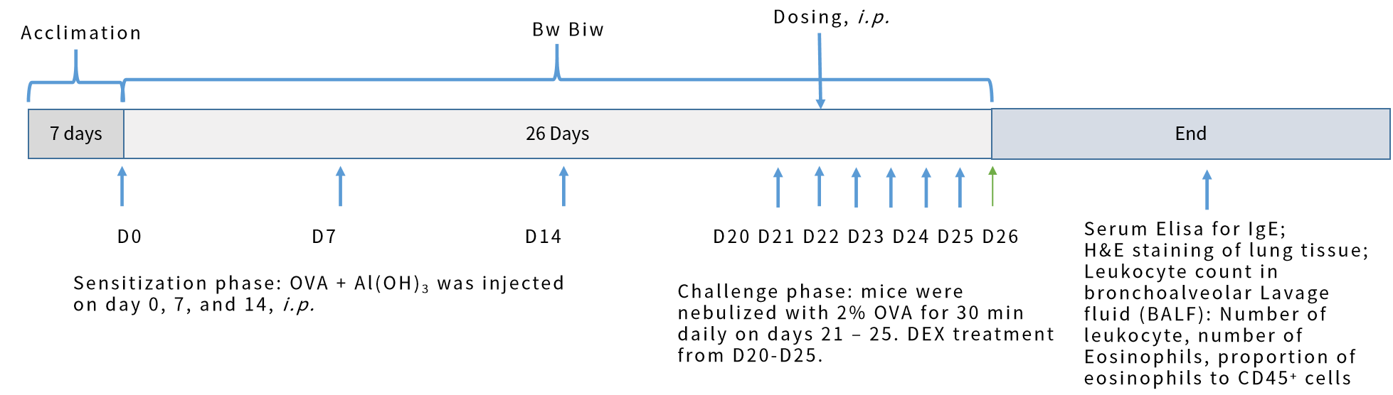 世界哮喘日 | 南模生物哮喘模型，助力探究哮喘新疗法