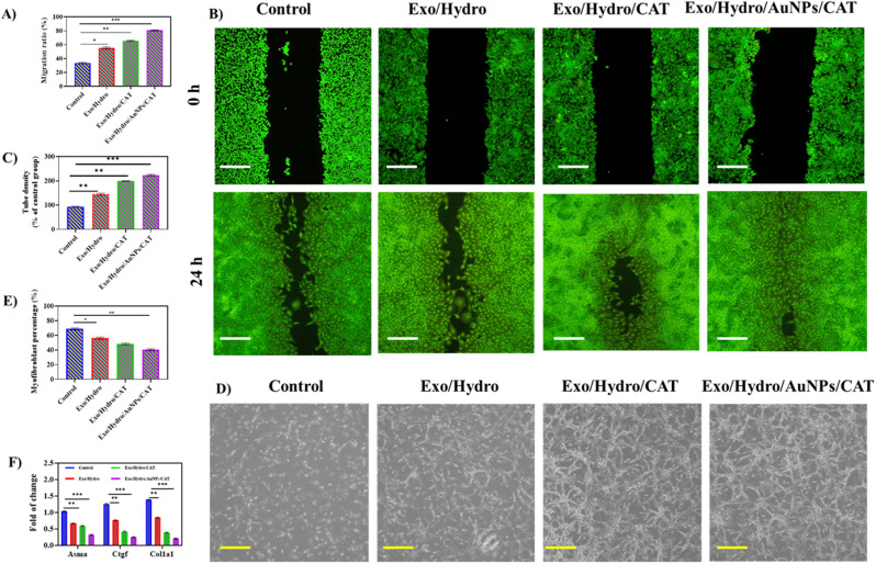 外泌体技术服务 外泌体技术服务