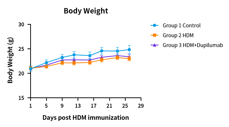 世界哮喘日 | 南模生物哮喘模型，助力探究哮喘新疗法