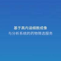 基于高内涵细胞成像与分析系统的药物筛选服务