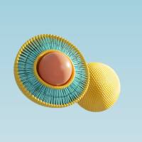 脂质体纳米颗粒包裹隐丹参酮 Tanshinone IIA@Liposome