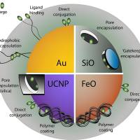 碳酸钙纳米颗粒包裹miR-375和索拉非尼 CaCO3 NPs@miR-375/Sf