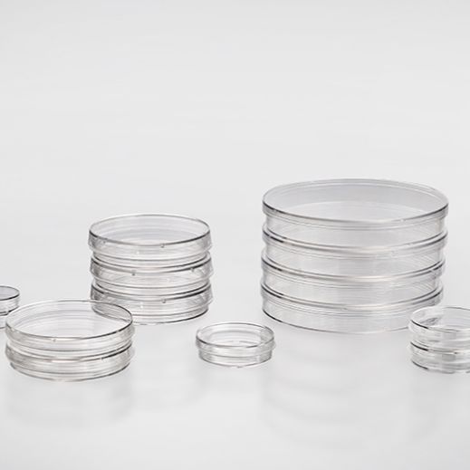 洁特一次性细胞培养皿 北京鼎国一级代理