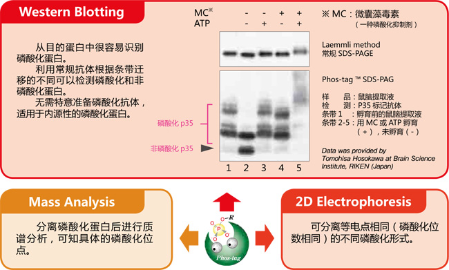 新闻图片3