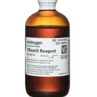 ThermoFisher TRIzol™ 试剂 15596018CN