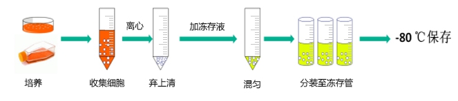 1573528714525947.jpg PB180439.jpg