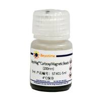 BeyoMag™ NHS Magnetic Beads (NHS磁珠, 200nm)