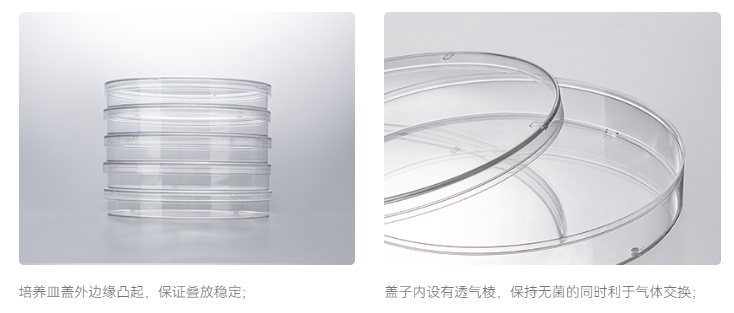 洁特细胞培养皿4.png