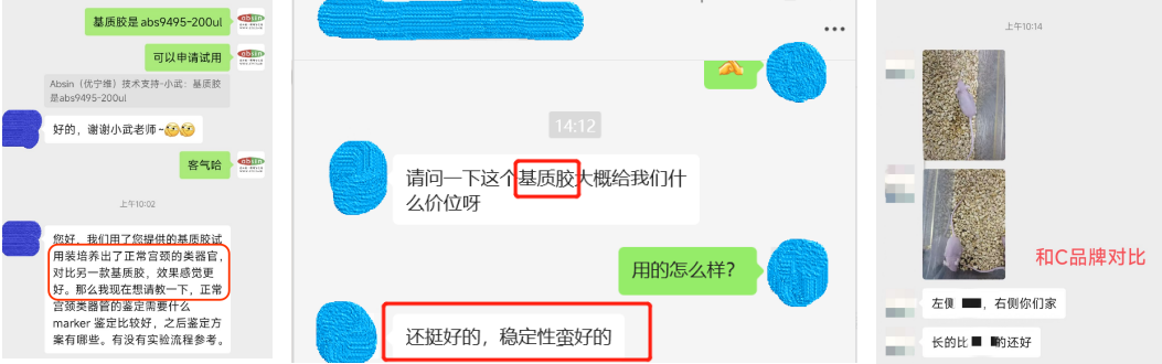 不再担心高关税—Absin 基质胶让您的实验流畅到底