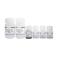 BeyoMag™氨基磁珠偶联试剂盒(500nm)