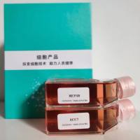 人胃癌细胞NUGC-3