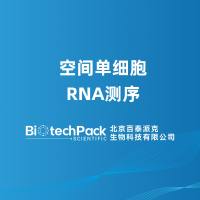 空间单细胞RNA测序