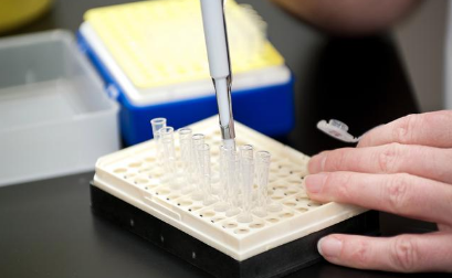 实时荧光定量PCR（qPCR）检测和定量方法的特性 