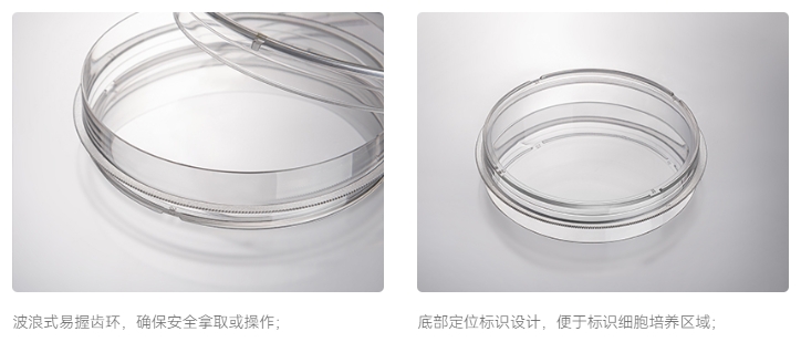 洁特细胞培养皿5.png