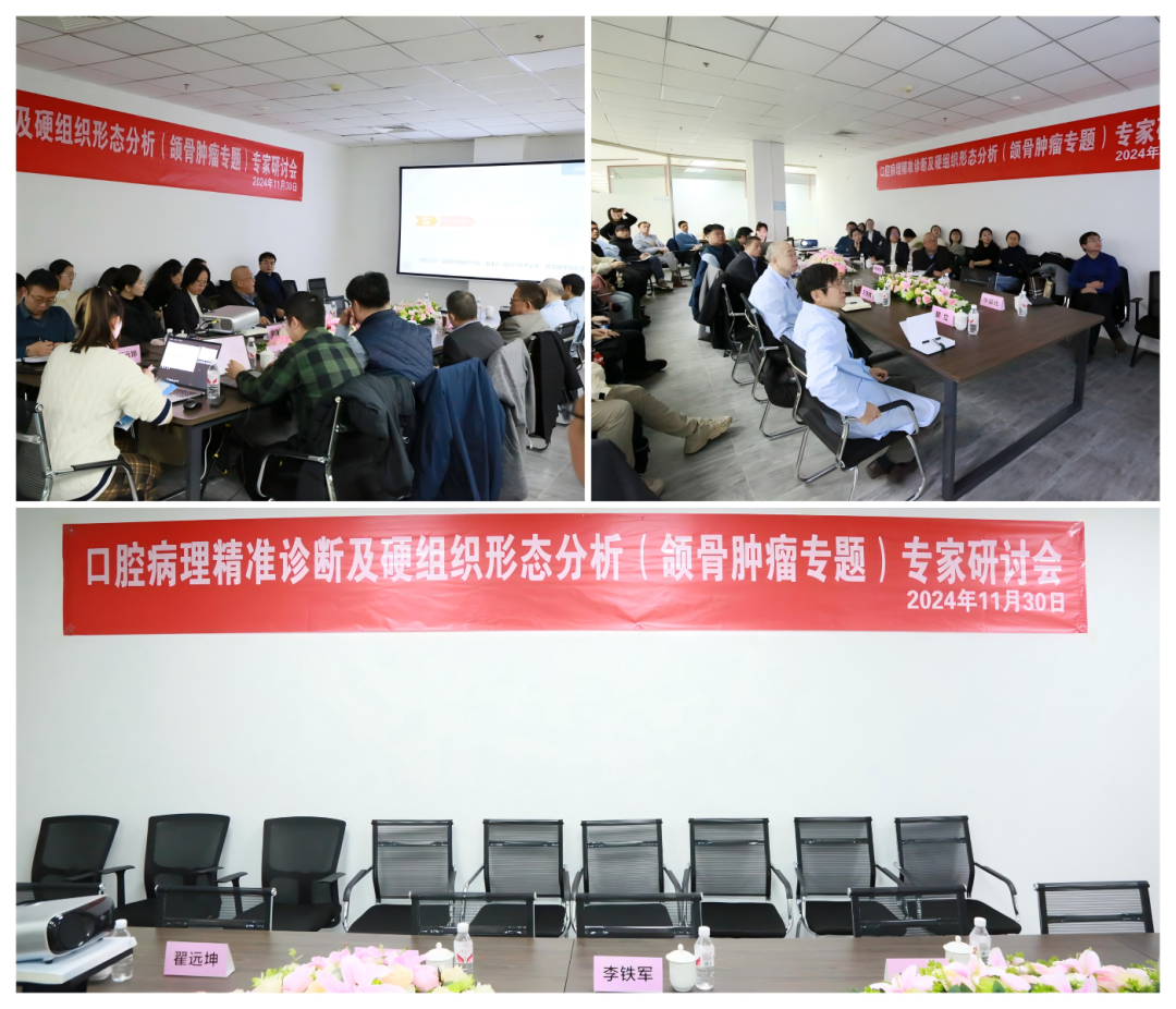 口腔病理精准诊断与颌骨肿瘤研究迈向新高度‌——2024年口腔病理精准诊断及硬组织形态分析专家研讨会圆满落幕