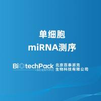 单细胞miRNA测序