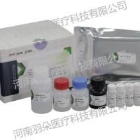 浩欧博 过敏原特异性1gE抗体检测试剂盒(霉菌混合MX14酶联免疫捕获法)