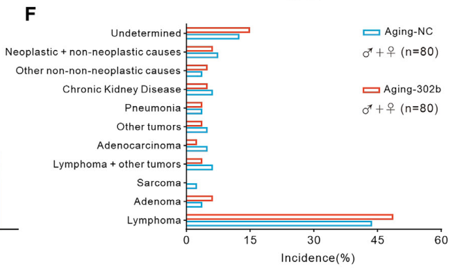 技术资料图片12