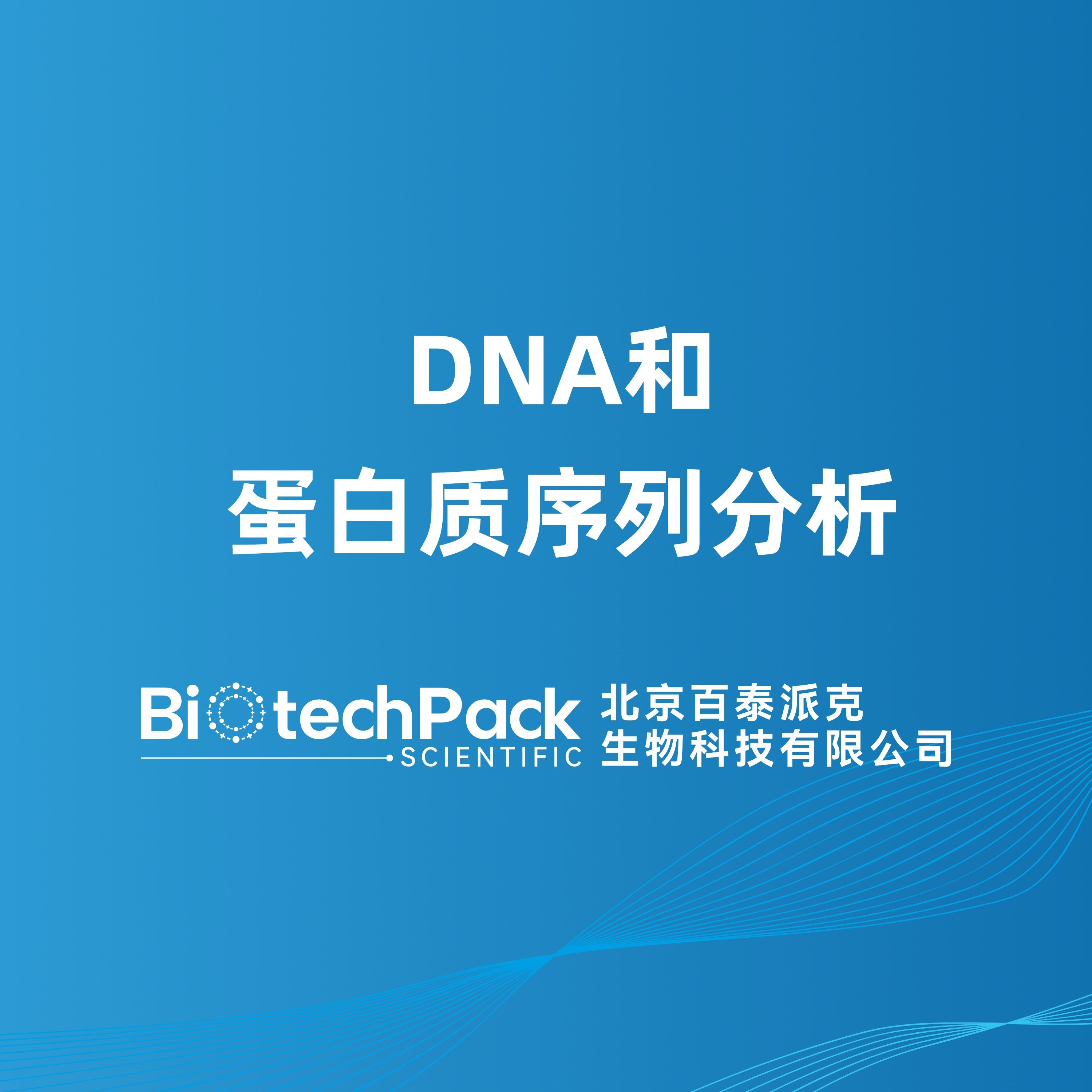 DNA和蛋白质序列分析