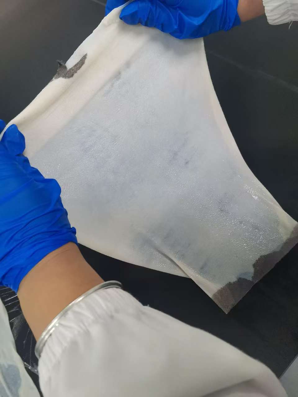 巴马猪皮 透皮实验用巴马猪皮 供应有实验动物资质巴马猪皮