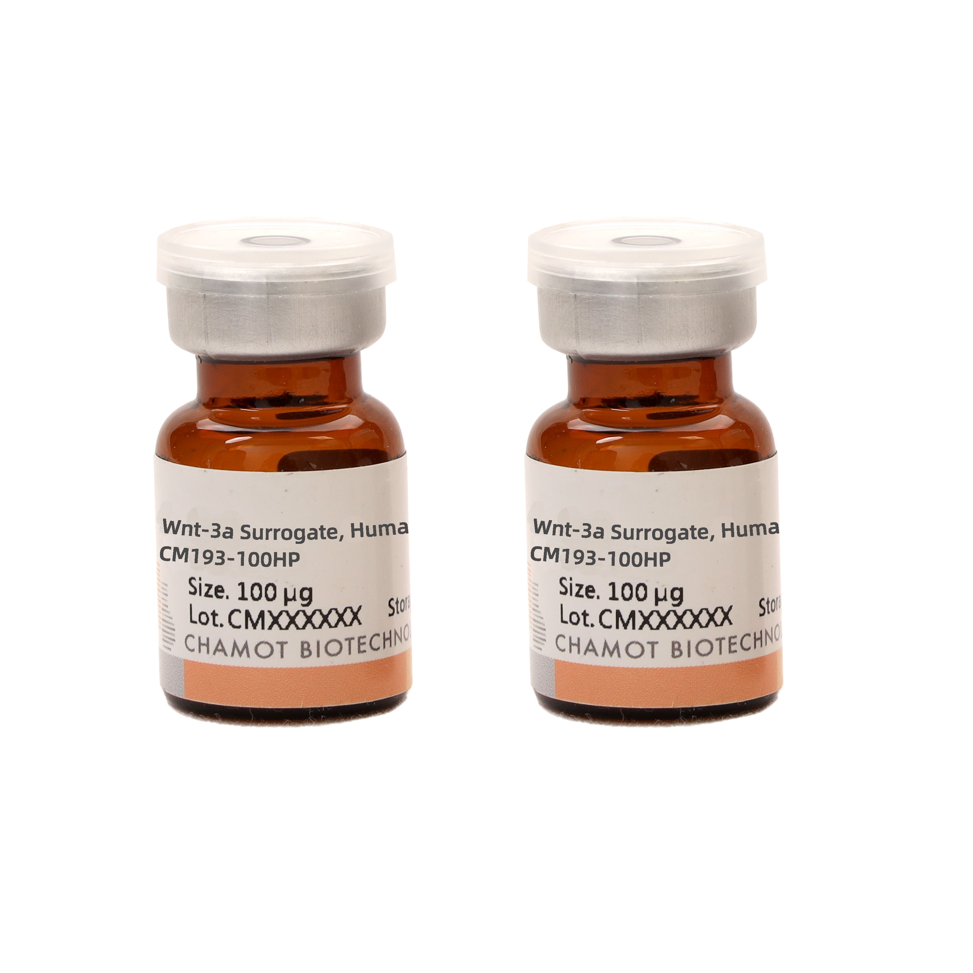 重组人Wnt-3a Surrogate蛋白 /Recombinant Wnt-3a Surrogate，Human，Animal-Free，HEK293