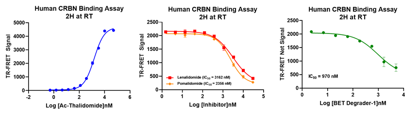 Human CRBN Ligand Screening As