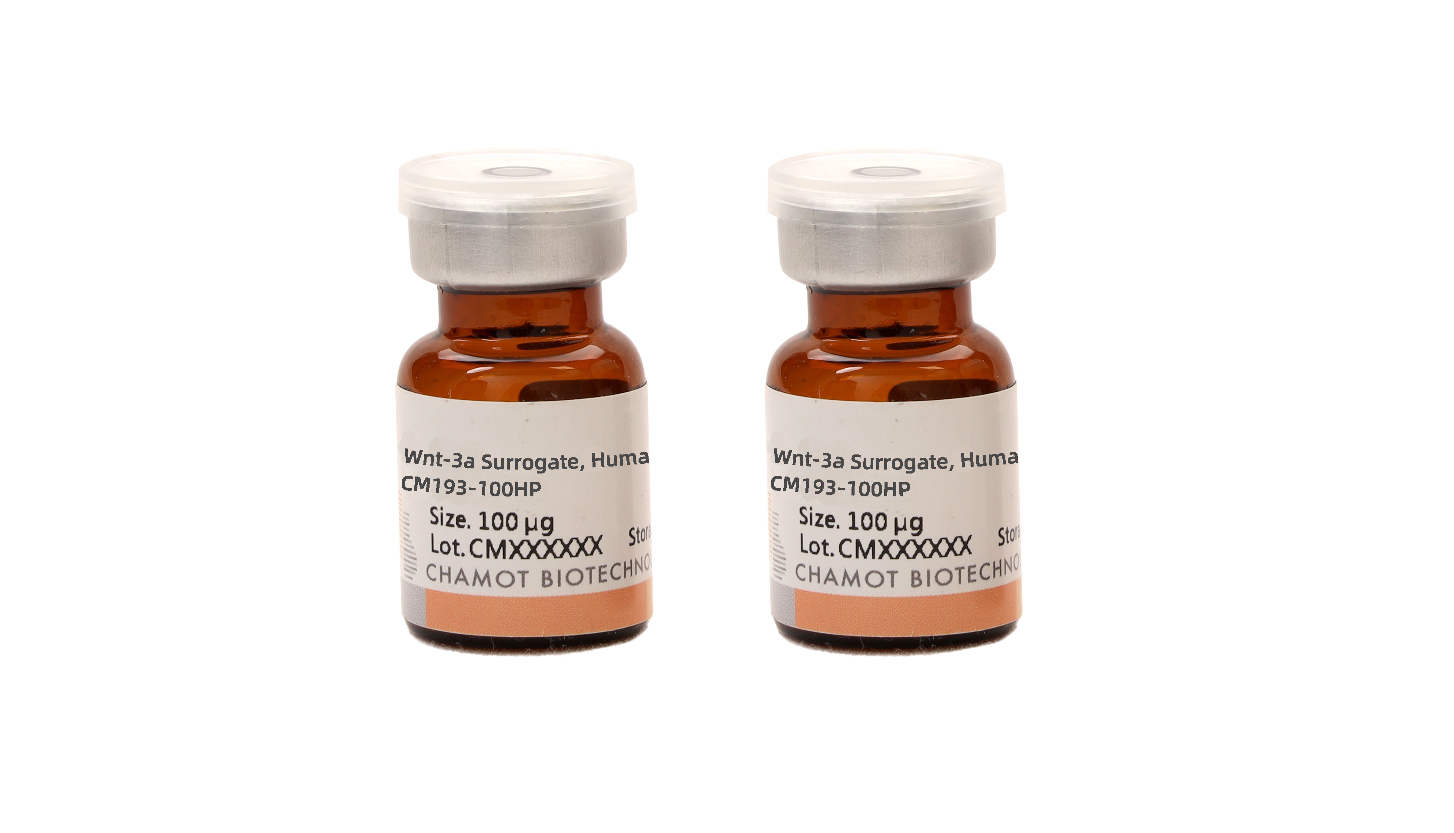 一文梳理两种形式Wnt-3a