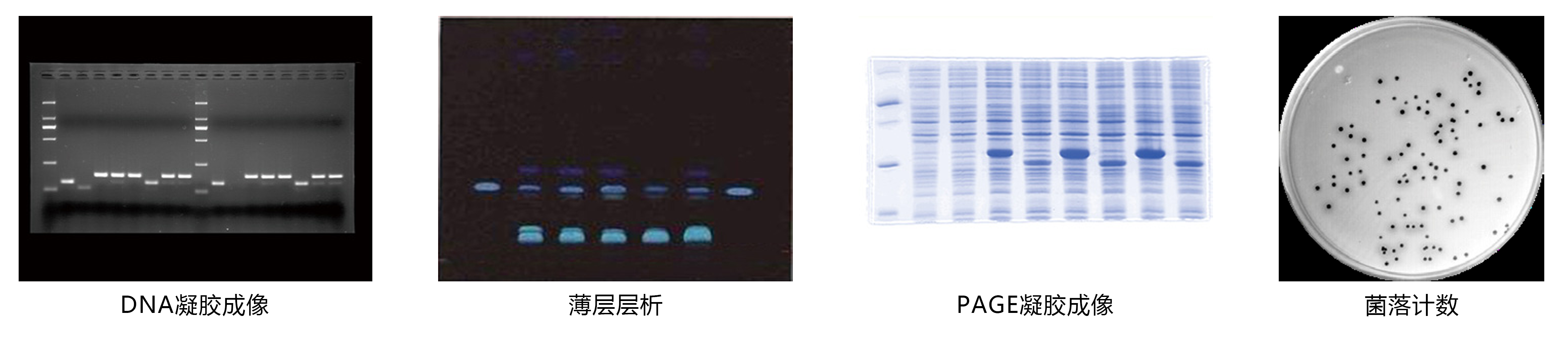 OI系列 全自动凝胶成像系统