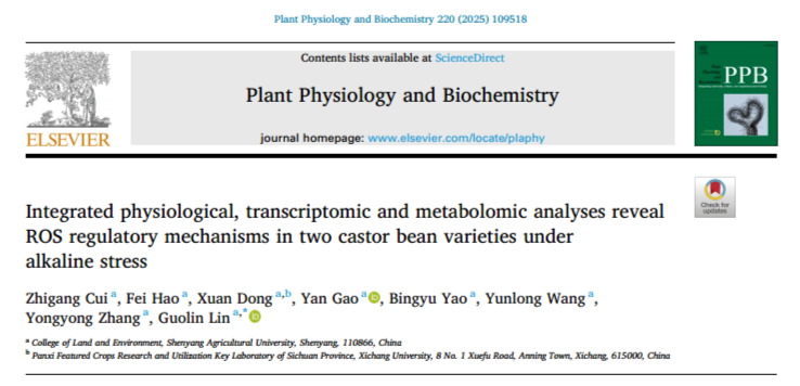 PPB｜沈阳农大林国林教授团队综合多组学分析探秘碱胁迫下蓖麻ROS调节机制