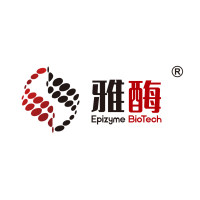 缓冲液槽,适配迷你垂直电泳仪及迷你转印仪(2块胶)